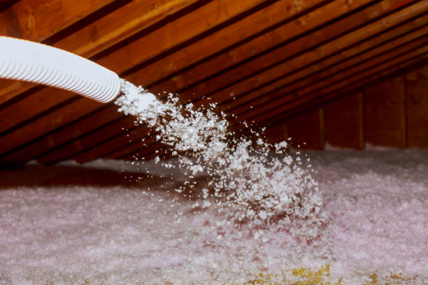 Best Spray Foam Insulation in Kathleen, FL