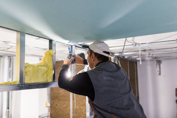 Types of Insulation We Offer in Kathleen, FL