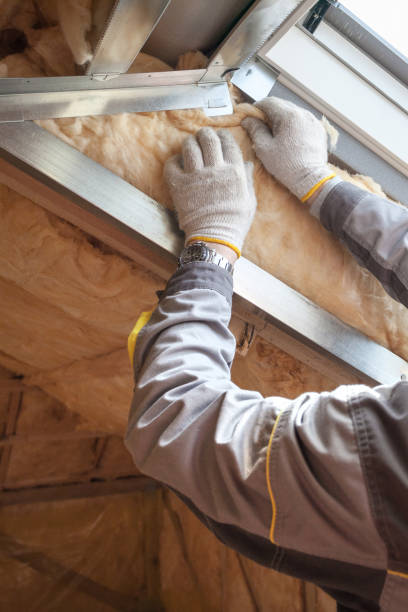 Best Geographic-Specific Insulation Services in Kathleen, FL