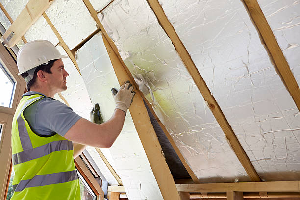 Best Eco-Friendly Insulation in Kathleen, FL